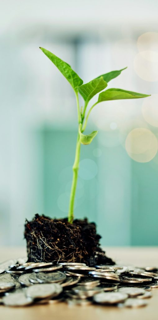 Investment and development in environment benefit eco friendly market and businesses. Coins and gre
