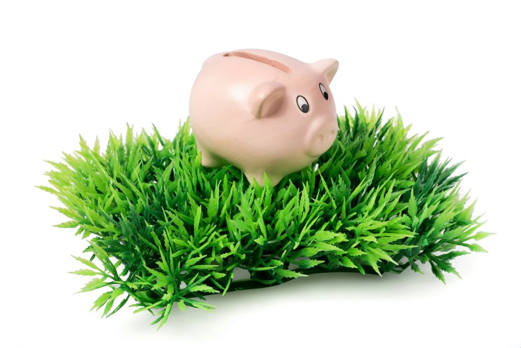 Small pink piggy bank on green plastic grass
